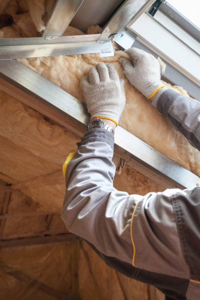 Best Home Insulation Services  in Mendenhall, MS